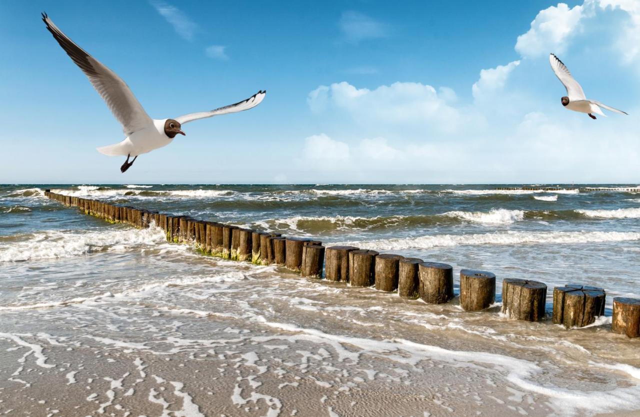 Haus Am Meer Whg 46 Вестерланд Экстерьер фото